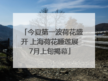 今夏第一波荷花盛开 上海荷花睡莲展7月上旬揭幕