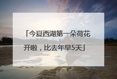 今夏西湖第一朵荷花开啦，比去年早5天