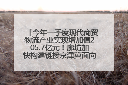 今年一季度现代商贸物流产业实现增加值205.7亿元！廊坊加快构建链接京津冀面向全世界的物流通道