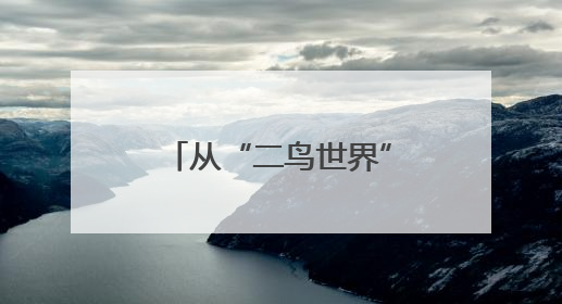 从“二鸟世界”到“五口之家” 一对东方白鹳的黄河口之恋