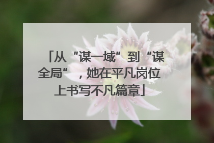 从“谋一域”到“谋全局”，她在平凡岗位上书写不凡篇章