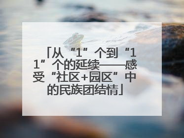 从“1”个到“11”个的延续——感受“社区+园区”中的民族团结情