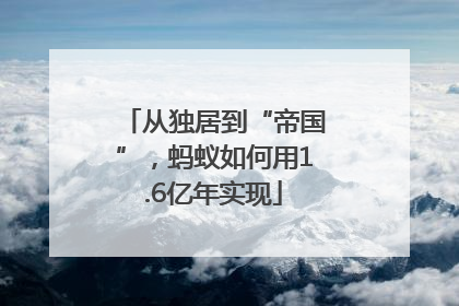 从独居到“帝国”，蚂蚁如何用1.6亿年实现