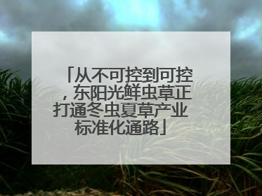 从不可控到可控，东阳光鲜虫草正打通冬虫夏草产业标准化通路