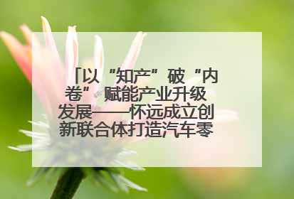 以“知产”破“内卷” 赋能产业升级发展——怀远成立创新联合体打造汽车零部件产业新高地