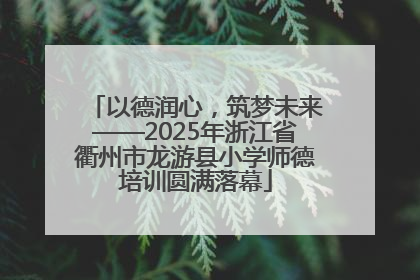 以德润心，筑梦未来——2025年浙江省衢州市龙游县小学师德培训圆满落幕