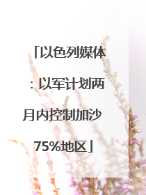 以色列媒体：以军计划两月内控制加沙75%地区
