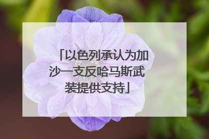 以色列承认为加沙一支反哈马斯武装提供支持