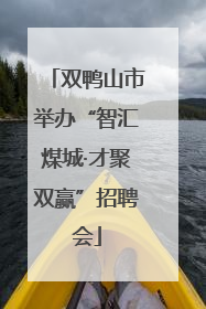 双鸭山市举办“智汇煤城·才聚双赢”招聘会