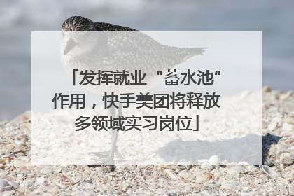 发挥就业“蓄水池”作用，快手美团将释放多领域实习岗位
