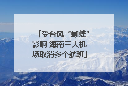 受台风“蝴蝶”影响 海南三大机场取消多个航班