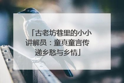 古老坊巷里的小小讲解员：童真童言传递乡愁与乡情