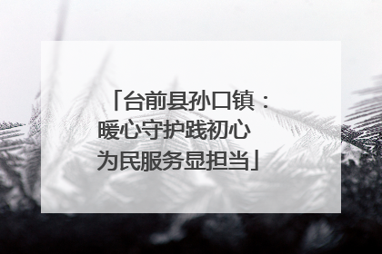 台前县孙口镇：暖心守护践初心 为民服务显担当