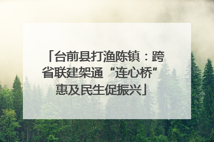 台前县打渔陈镇：跨省联建架通“连心桥” 惠及民生促振兴