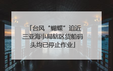 台风“蝴蝶”迫近 三亚海事局辖区货船码头均已停止作业