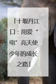 十堰丹江口：用爱“电”亮天使少年的成长之路