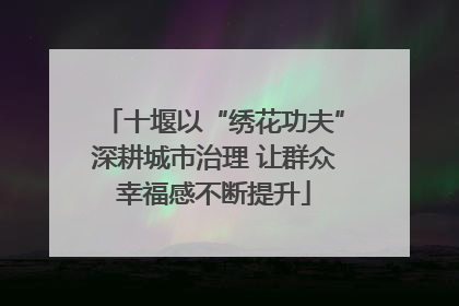十堰以“绣花功夫”深耕城市治理 让群众幸福感不断提升
