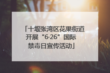 十堰张湾区花果街道开展“6·26”国际禁毒日宣传活动