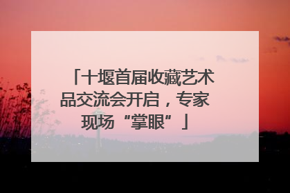 十堰首届收藏艺术品交流会开启，专家现场“掌眼”