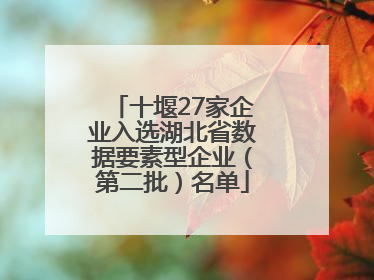 十堰27家企业入选湖北省数据要素型企业（第二批）名单
