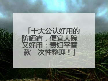 十大公认好用的防晒霜，便宜大碗又好用：贵妇平替款一次性整理！