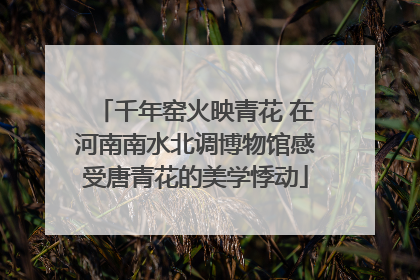千年窑火映青花 在河南南水北调博物馆感受唐青花的美学悸动