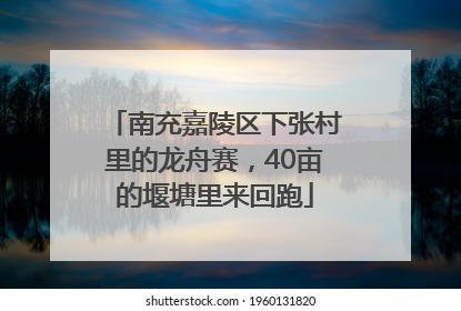 南充嘉陵区下张村里的龙舟赛，40亩的堰塘里来回跑