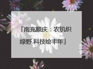 南充顺庆：农机织绿野 科技绘丰年