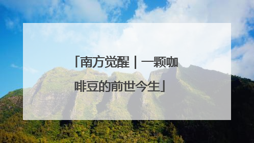 南方觉醒｜一颗咖啡豆的前世今生