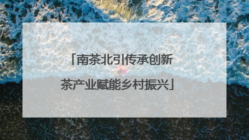 南茶北引传承创新 茶产业赋能乡村振兴