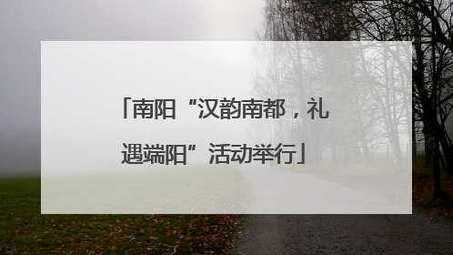 南阳“汉韵南都，礼遇端阳”活动举行