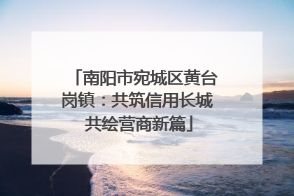 南阳市宛城区黄台岗镇：共筑信用长城 共绘营商新篇