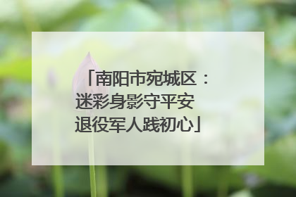 南阳市宛城区：迷彩身影守平安 退役军人践初心