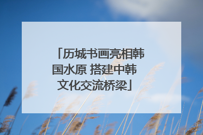 历城书画亮相韩国水原 搭建中韩文化交流桥梁