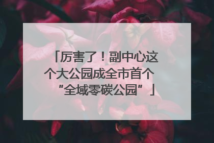厉害了！副中心这个大公园成全市首个“全域零碳公园”