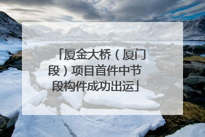 厦金大桥（厦门段）项目首件中节段构件成功出运