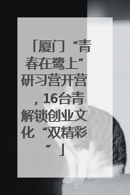 厦门“青春在鹭上”研习营开营，16台青解锁创业文化“双精彩”