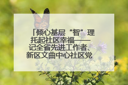 倾心基层“智”理 托起社区幸福——记全省先进工作者、新区文曲中心社区党委书记董世弘
