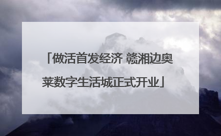 做活首发经济 赣湘边奥莱数字生活城正式开业