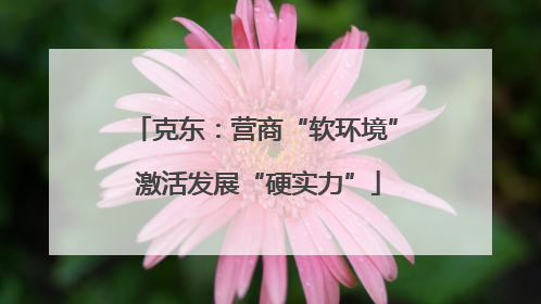 克东：营商“软环境” 激活发展“硬实力”
