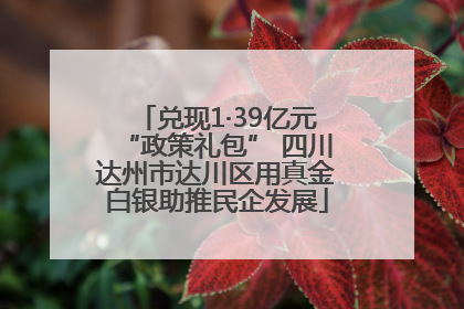 兑现1·39亿元“政策礼包” 四川达州市达川区用真金白银助推民企发展