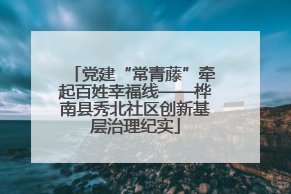 党建“常青藤”牵起百姓幸福线——桦南县秀北社区创新基层治理纪实
