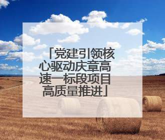 党建引领核心驱动庆章高速一标段项目高质量推进