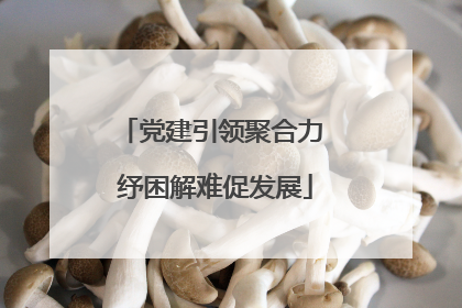 党建引领聚合力 纾困解难促发展