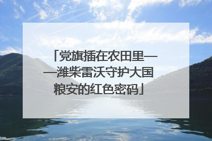 党旗插在农田里——潍柴雷沃守护大国粮安的红色密码