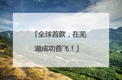 全球首款，在芜湖成功首飞！
