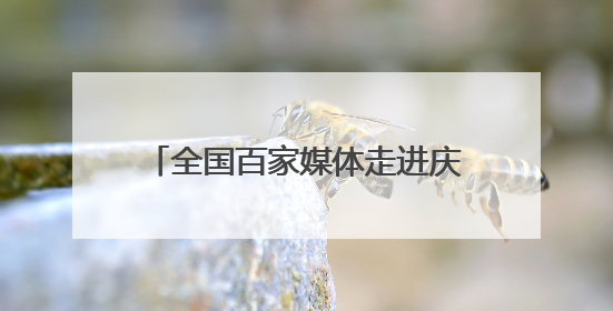 全国百家媒体走进庆阳｜“剪云裳”惊艳香包节：剪纸跃上华服 非遗焕发新彩