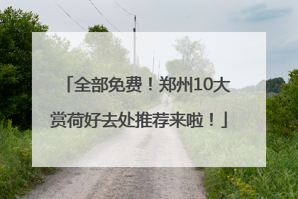 全部免费！郑州10大赏荷好去处推荐来啦！