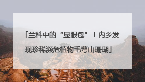 兰科中的“显眼包”！内乡发现珍稀濒危植物毛萼山珊瑚