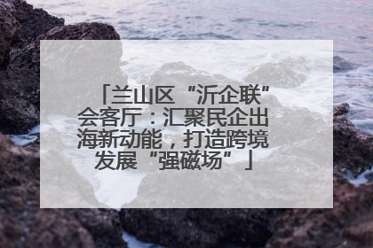 兰山区“沂企联”会客厅：汇聚民企出海新动能，打造跨境发展“强磁场”